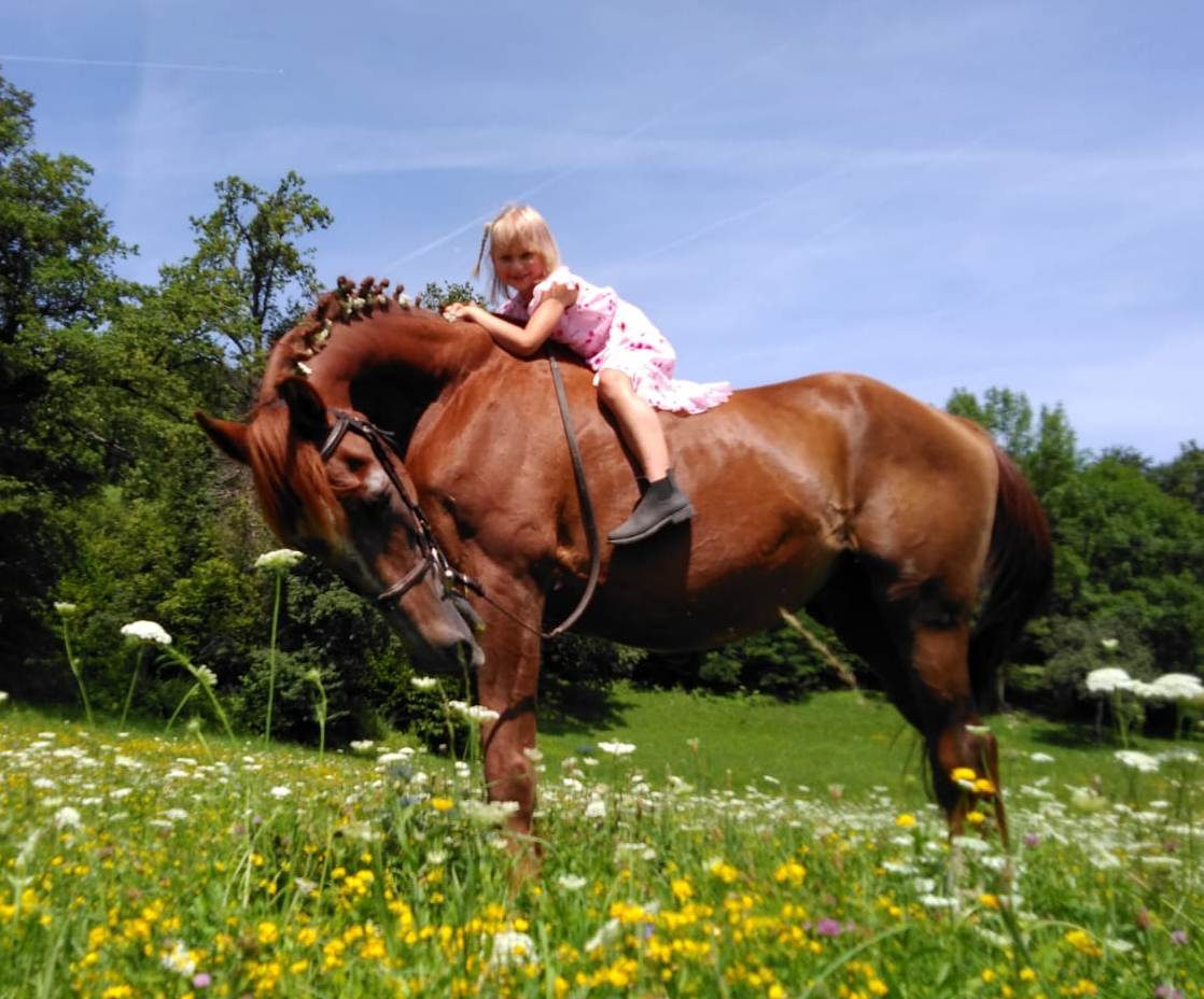 golden-breath-libero